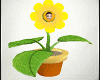 Yellow Flower Avatar