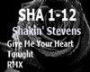 Shakin Stevens rmx