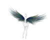 Animated Wings Aura