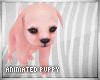 [K] Pink Puppy