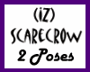 (IZ) Scarecrow 2 Poses