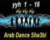 M - Laythe Arab Dance