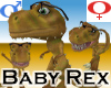 Baby Rex +V