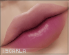 Lip Stain 3 | Scarla