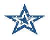 BLUE/WHITE STAR STICKER
