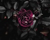 Gothic glass rose