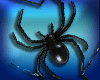 Black Widow Spider Chain