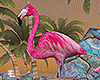 Island Flamingo 2