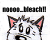 bleach!! cute foxy :D