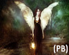 (PB)Angel of The Nite