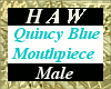 Quincy Blue MMP