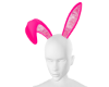 Bunny Ears Set V3