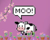 born a cow