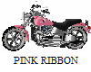 Pink Ribbon Indian bike!