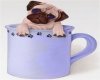 doggy in a cup sticker