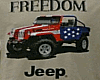 (RD)jeep tee (F)