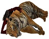 sleep with tiger 1