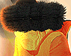 Z PARKA VLONE