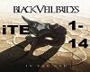 In The End- Black Veil B