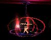 (K) Hard Rock Dance Cage