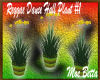MzM Reggae Plant1