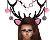 Meow Antlers