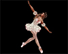 Balet Pack Dance & Pose
