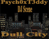 DJ- dull CITY SCENE