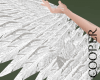 !A White wings