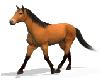 walking horse sticker