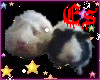 Guinea pigs (Ott&Odd)