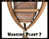 *Hanging Plant 2
