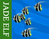 [JE] Animated Angel Fish