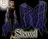 Shawl - Blue and Silver