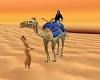 camel animer