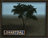 JL Arbol Derriaran 5