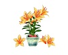 Potted Lily-Stargazer