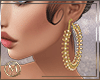 ℳ▸Gold Earrings