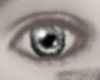 [L] Yeux Gris Eyes Gray