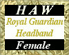 Royal Guardian Headband