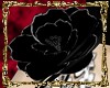 [Ace] Black rose