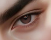 Eyes brown