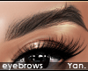 Y: HD brows | arched