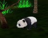 [DD]Safari Panda