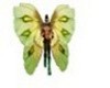 [MTX] butterfly avatar