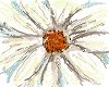 watercolor daisy