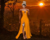 Sunset Glo Gown