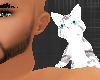 *-*Shoulder Kitten White