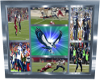 Seahawks collage