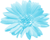 *E4U*blue flower